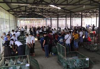 (၅၇)ကြိမ်မြောက် မြန်မာ့ကျောက်မျက်ရတနာပြပွဲ စတုတ္ထနေ့ဆက်လက်ကျင်းပ
