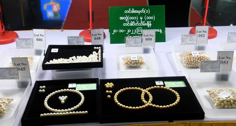 DSC_2650-768x410